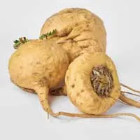 Maca root ingredient image for Audifort